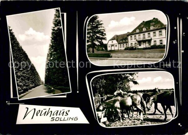 Neuhaus Solling Pferde Park