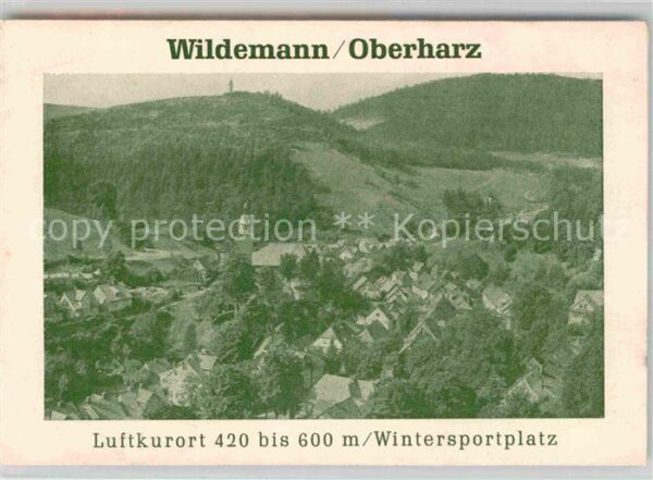 Wildemann Fliegeraufnahme