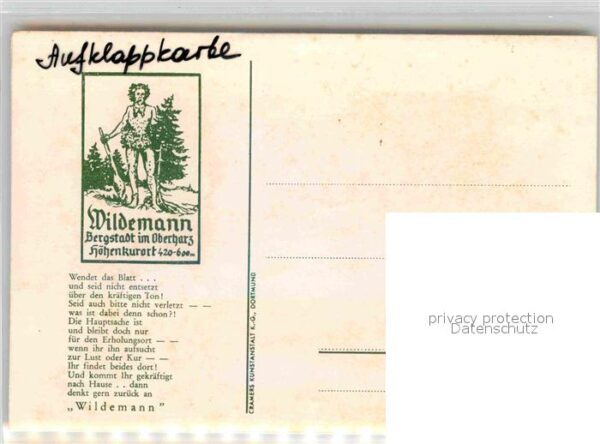 Wildemann Fliegeraufnahme – Bild 2