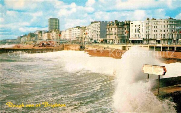 Brighton East Sussex Rough see at Brighton