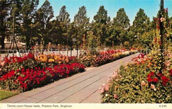 Brighton East Sussex Tennis court flowers beds Preston Park