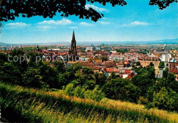 Bad Krozingen Panorama