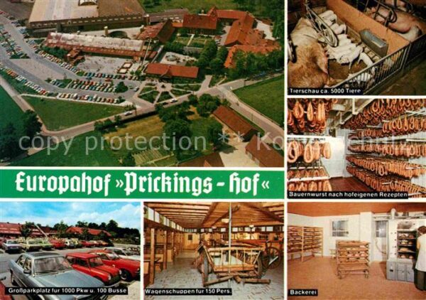 Sythen Europahof Prickingshof Fliegeraufnahme