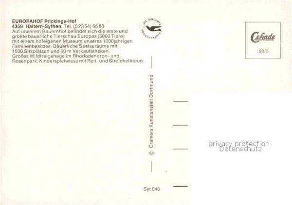 Sythen Europahof Prickingshof Fliegeraufnahme – Bild 2