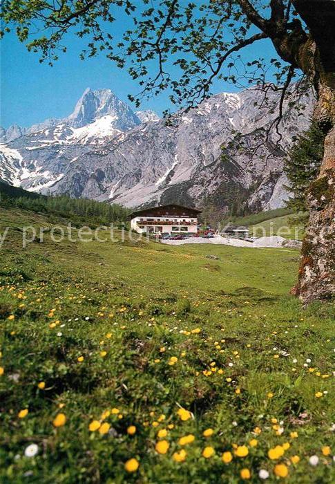 Pertisau Achensee Almwiese Alpengasthof Gramai Karwendelg