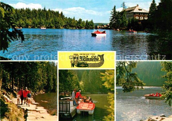 Mummelsee Berghotel am See Wandern Bootfahren Sch