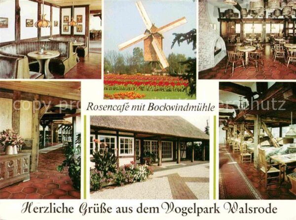 Walsrode Lueneburger Heide Rosencafe mit Bockwindmühle im Vogelpar