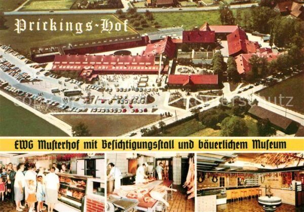 Sythen Prickingshof Westfälischer EWG Musterho