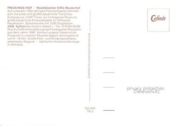 Sythen Prickingshof Westfälischer EWG Musterho – Bild 2