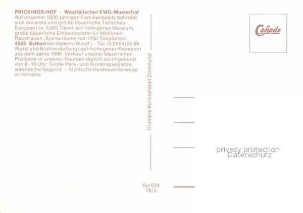 Sythen Prickingshof Westfälischer EWG Musterho – Bild 2