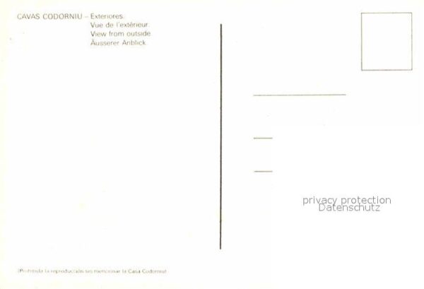 Cavas Codorniu Exteriores vue aerienne – Bild 2