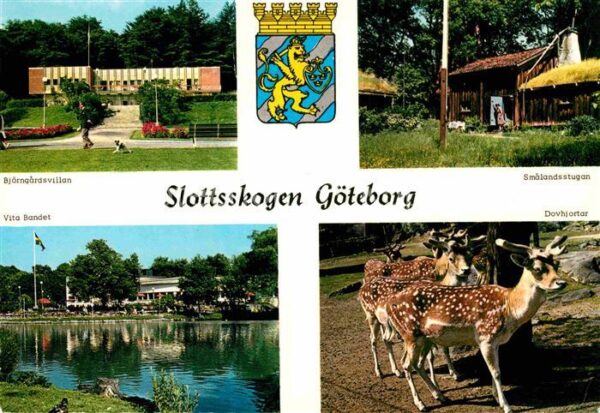 Goeteborg Slottsskogen Bjärngardsvillan Smalandss