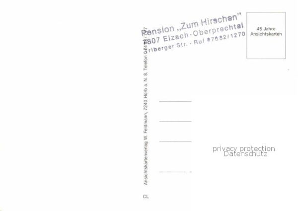 Oberprechtal Pension Zum Hirschen Panorama Schwimmba – Bild 2