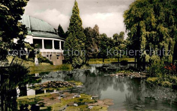 Bad Wildungen Seerosenteich im Kurpark
