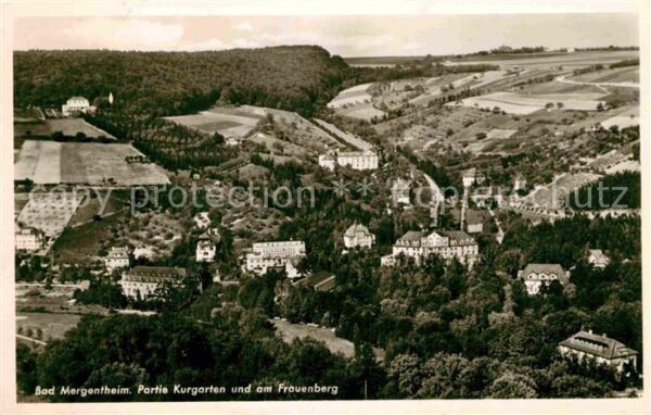 Bad Mergentheim Partie Kurgarten und am Frauenberg