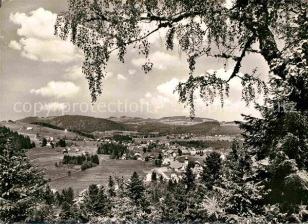 Hinterzarten Panorama Schwarzwald