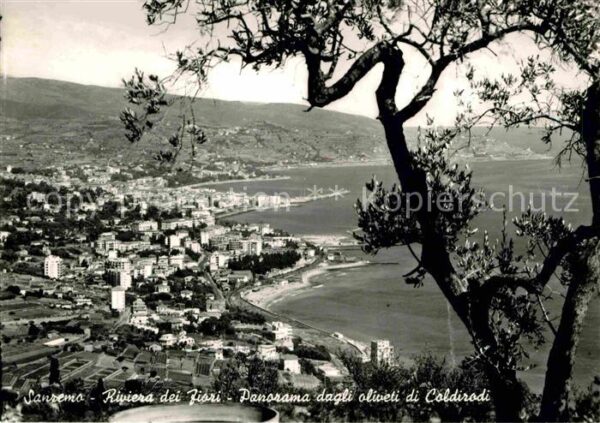 Sanremo Panorama dagli oliveti di Coldirodi Riv