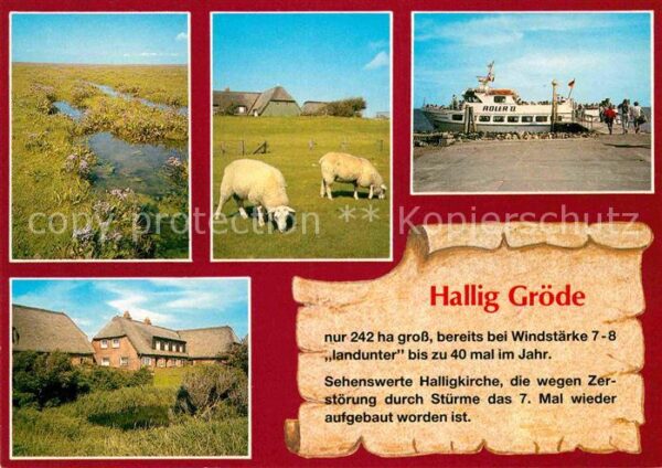 Hallig Groede Landschaftspanorama Schafe Bootsanleger