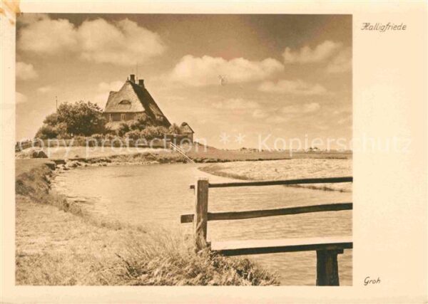 Hallig Hooge Halligfriede Handabzug