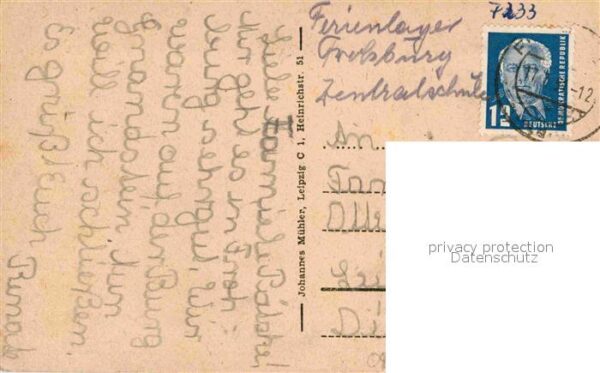 Kohren-Sahlis Baumblutzen – Bild 2