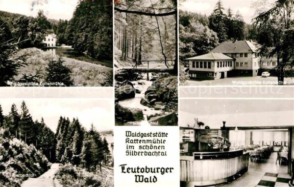 Bad Meinberg Waldgaststätte Kattenmühle