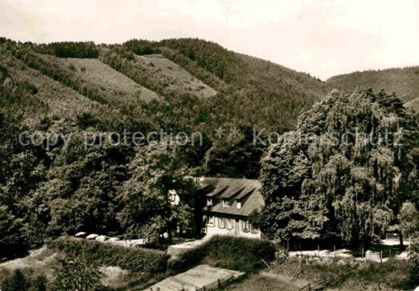Wachenheim Weinstrasse Forsthaus Rotsteig