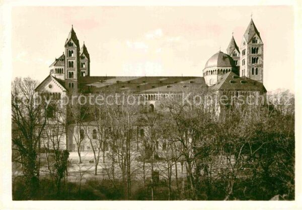 Speyer Rhein Dom