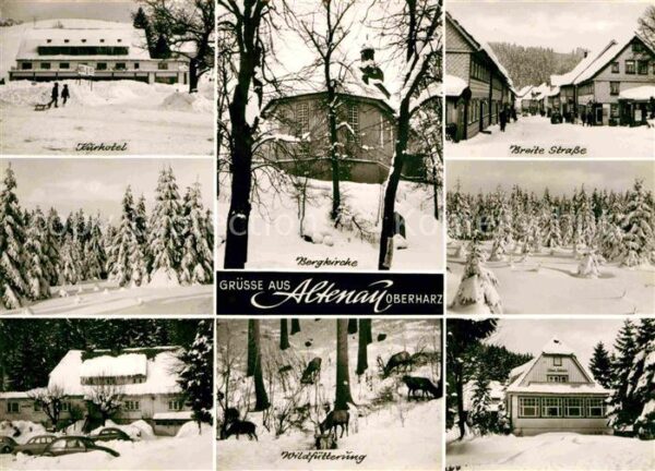 Altenau Harz Breite Strasse Kurhotel Wildfütterung
