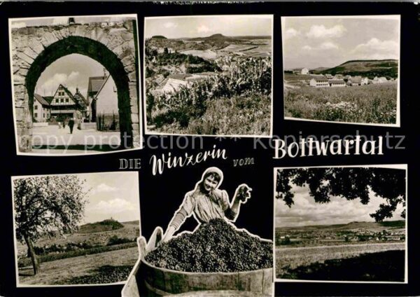 Schwaben Region Die Winzerin vom Bottwartal