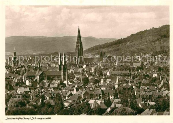 Freiburg Breisgau Panorama mit Münster