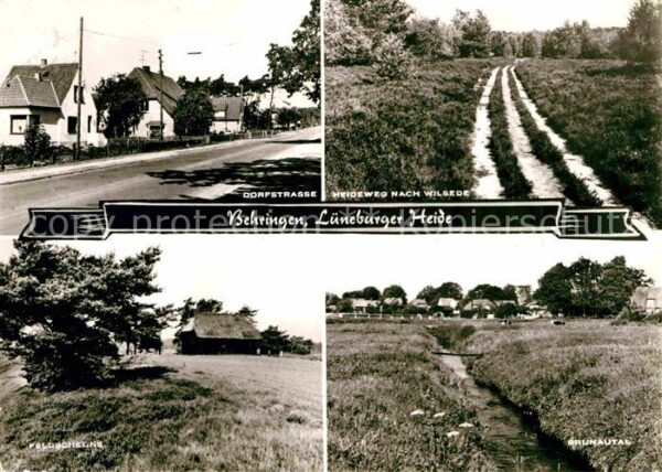 Behringen Bispingen Dorfstrasse Heideweg nach Wilsede Bruna