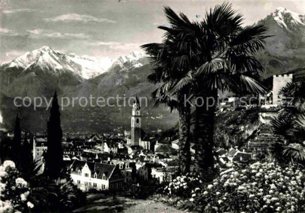 Meran Merano Panorama