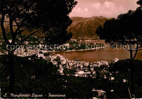 Santa Margherita Ligure Panorama