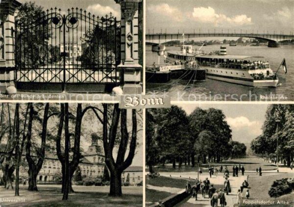 Bonn Rhein Rheinbrücke Sitz des Bundespräsidenten
