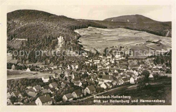 Steinbach Hallenberg Panorama Blick zur Hallenburg und Herma