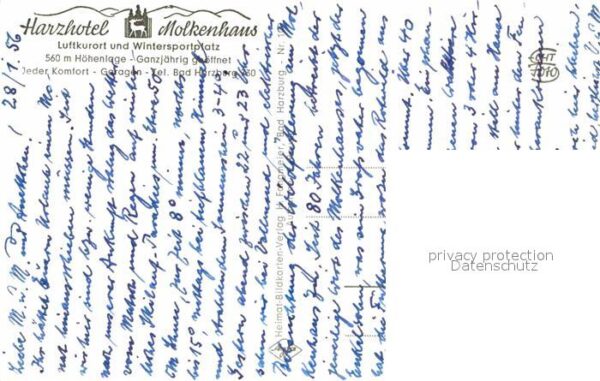 Bad Harzburg Wildfütterung am Harzhotel Molkenhaus i – Bild 2
