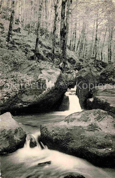 Echternach Le Hallerbach Petite Suisse Luxembourge