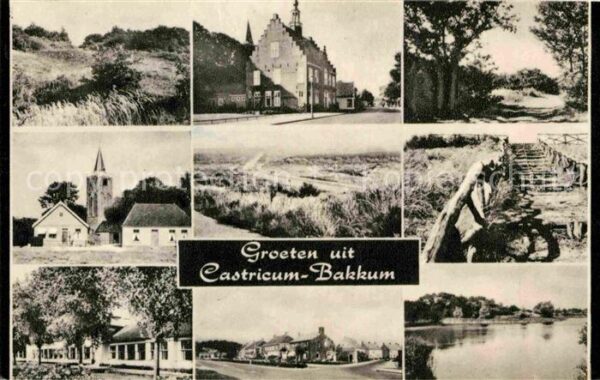 Castricum Bakkum Duinen Landschaftspanorama Dünen