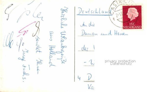 Castricum Bakkum Duinen Landschaftspanorama Dünen – Bild 2