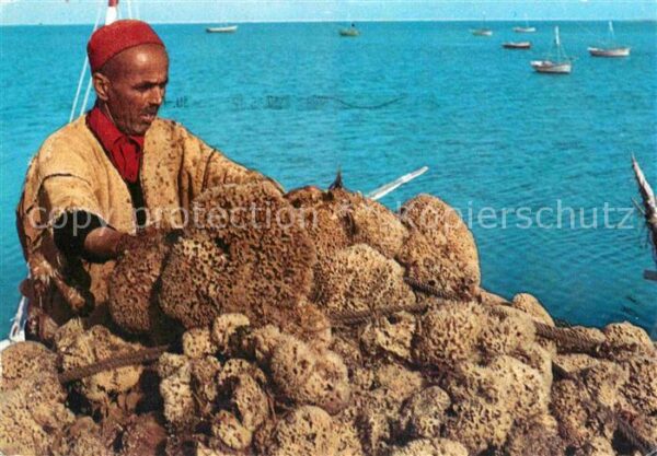 Jerba Pecheur d_eponges