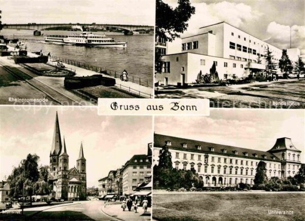 Bonn Rhein Rheinpromenade Dampfer Bundeshaus Unive