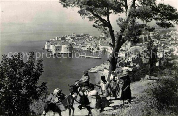 Dubrovnik Ragusa Panorama Küstenstadt Hafen Alte Festung
