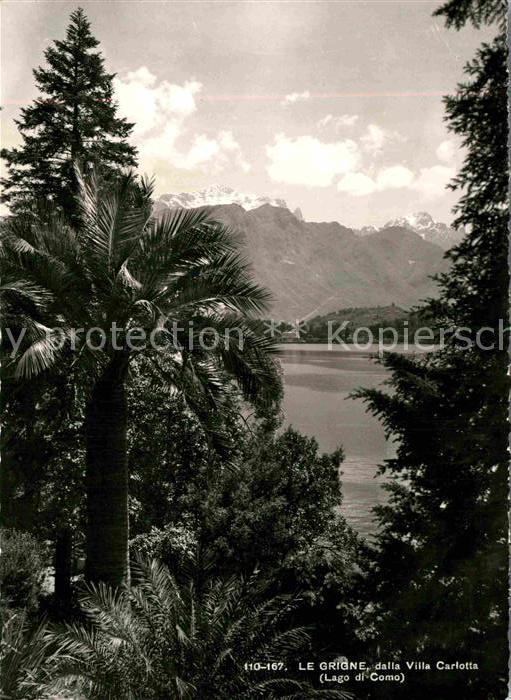 Tremezzo Lago di Como Le Grigne dalla Villa Carlotta Comer Se