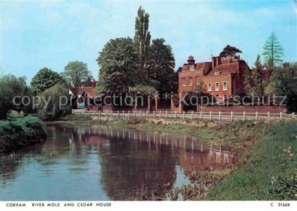 Cobham River Mole and Cedar House
