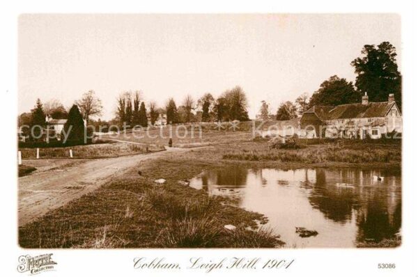 Cobham Leigh Hill 1904 Repro Francis Frith Col