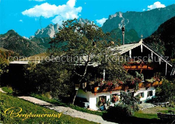 Ebbs Alpenmotiv Bergbauernhof Hinterkaiserho