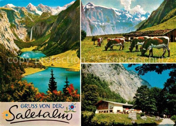 Berchtesgaden Saletalm Gastwirtschaft Königssee Almvi