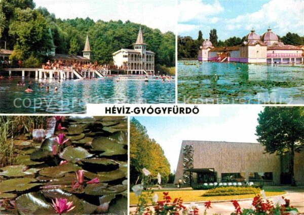Hevizgyogyfuerdoe Heviz Heilbad Teichrosen