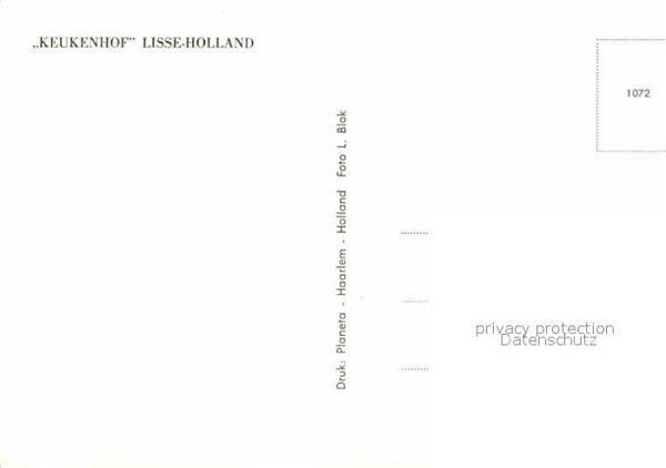 Trachten Holland Keukenhof Lisse – Bild 2