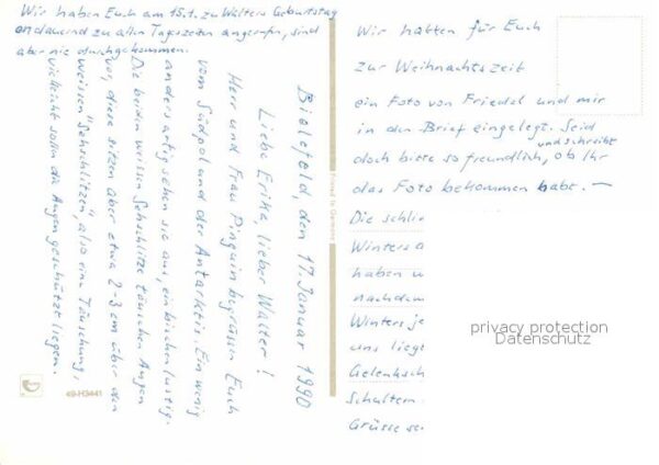 Pinguin Kronenpinguin – Bild 2